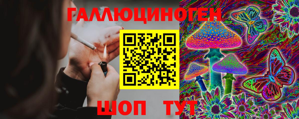 Мытищи  Псилоцибиновые грибы GOLDEN TEACHER  Вход с VPN 
